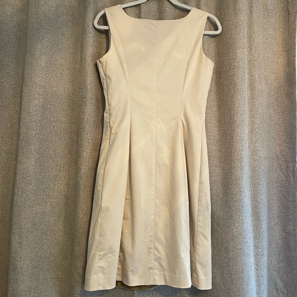 The Limited Dress - Picture 4 of 5